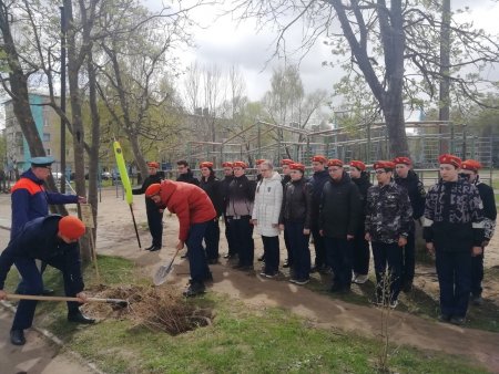 Акция "Сад памяти" прошла в Коврове